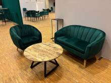 Photo de mobilier élégant en velours et table basse noire et bois à Paris